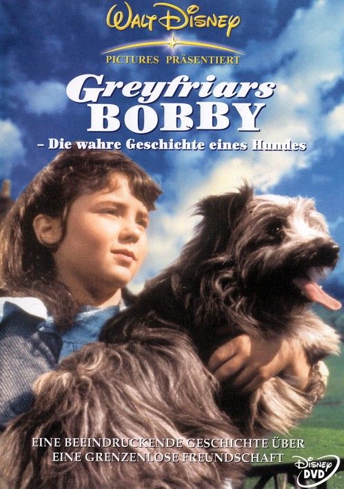 Greyfriars Bobby - Die wahre Geschichte eines Hundes [DVD]