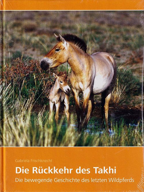 Die Rückkehr des Takhi