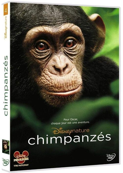 Chimpanzés [DVD]