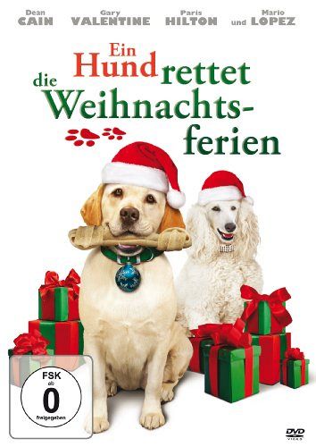 Ein Hund rettet die Weihnachtsferien [DVD]