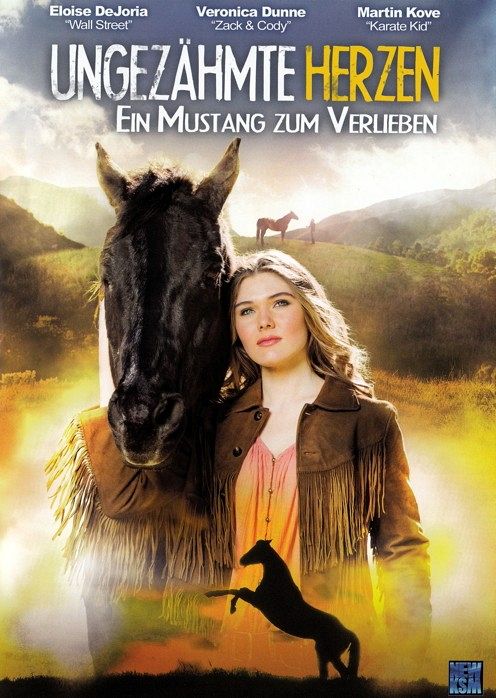 Ungezähmte Herzen - Ein Mustang zum Verlieben [DVD]