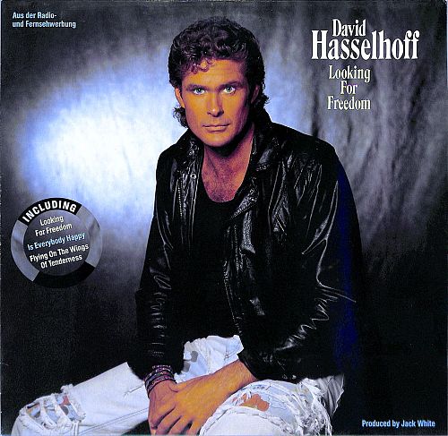 Looking For Freedom [Vinyl]