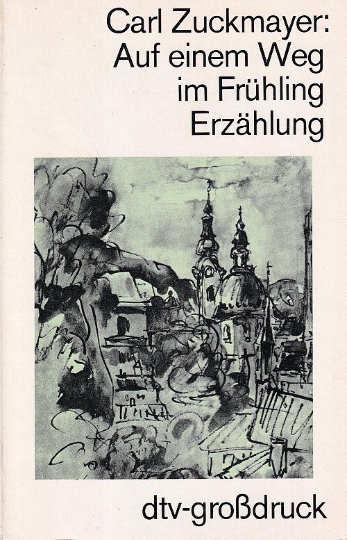 Auf einem Weg im Frühling