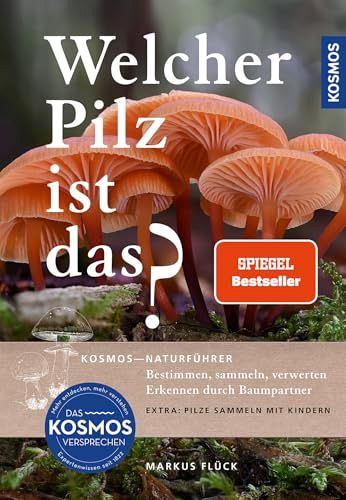 Welcher Pilz ist das?