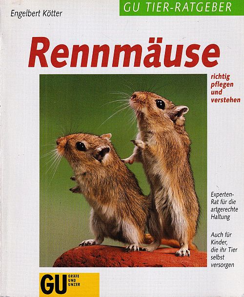 Rennmäuse richtig pflegen und verstehen