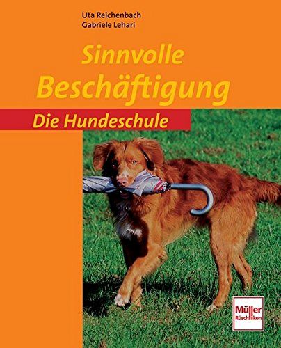 Sinnvolle Beschäftigung