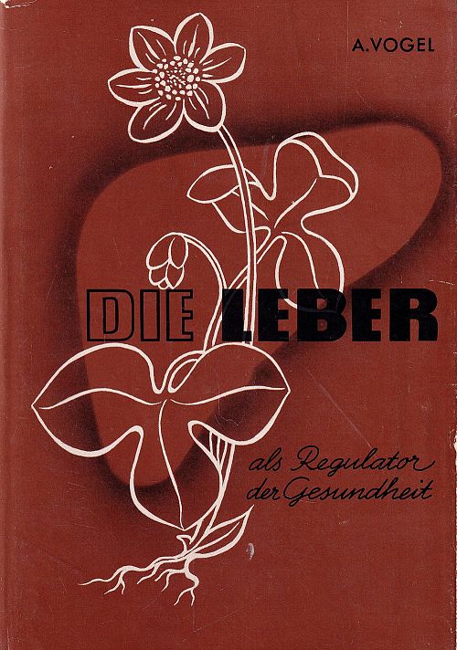 Die Leber als Regulator der Gesundheit