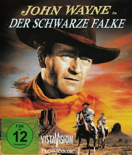 Der schwarze Falke [Blu-ray]