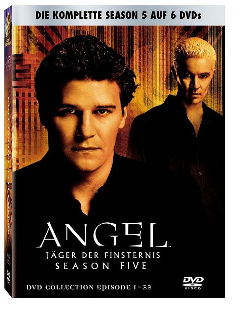 Angel - Jäger der Finsternis: Die komplette Season 5 [DVD]