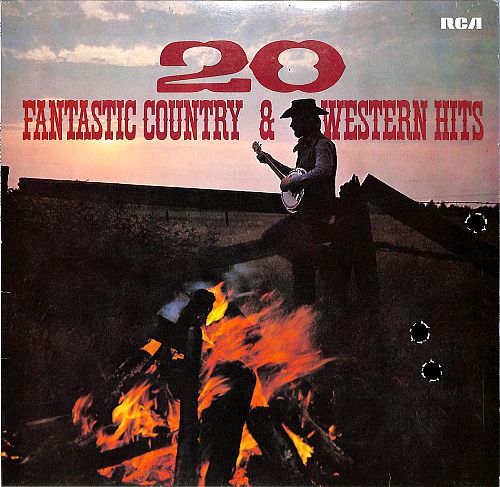 20 Fantastic Country & Western Hits [Vinyl]