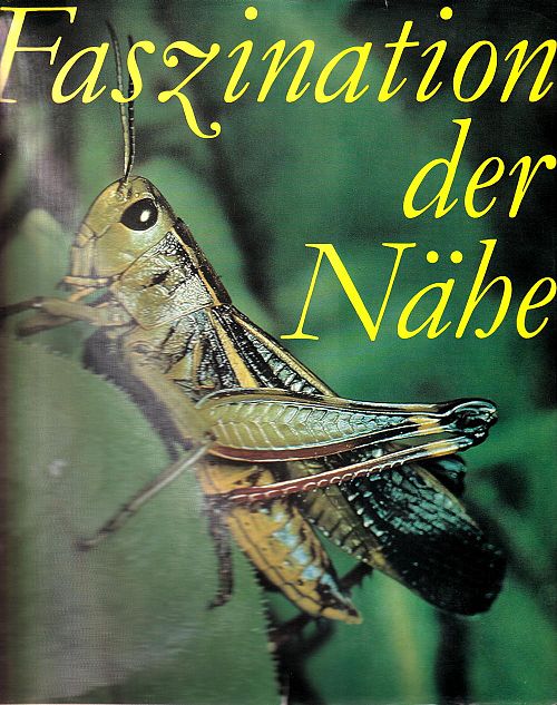 Faszination der Nähe