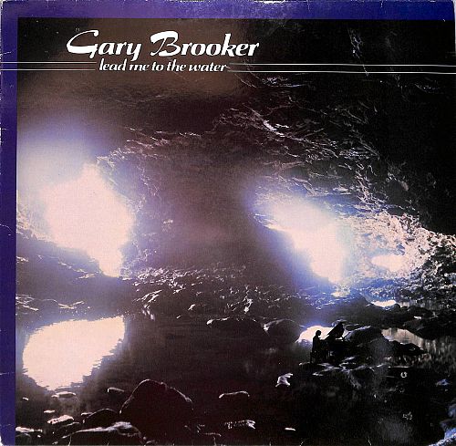 Lead me to the water [Vinyl]