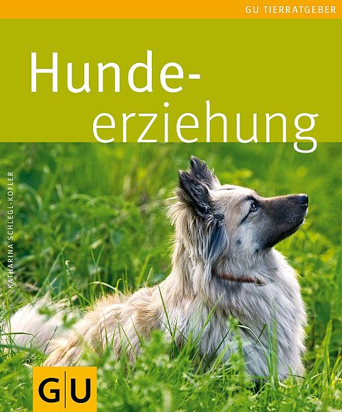 Hunde-Erziehung