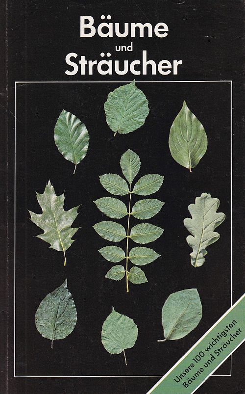 Bäume und Sträucher