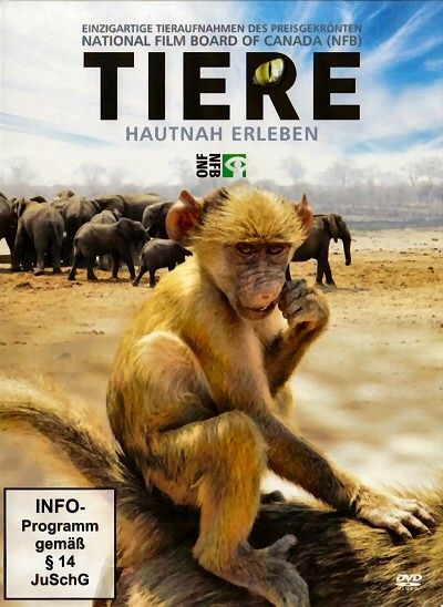 Tiere - Hautnah erleben [DVD]