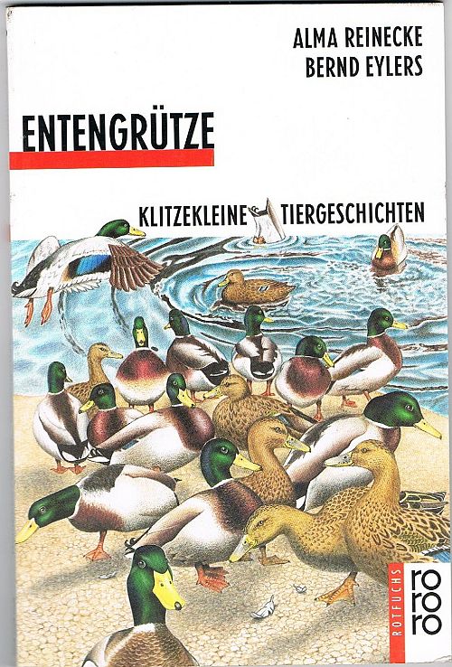 Entengrütze 