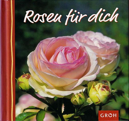 Rosen für dich