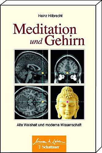 Meditation und Gehirn