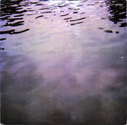 We Move Through Weather [Vinyl]