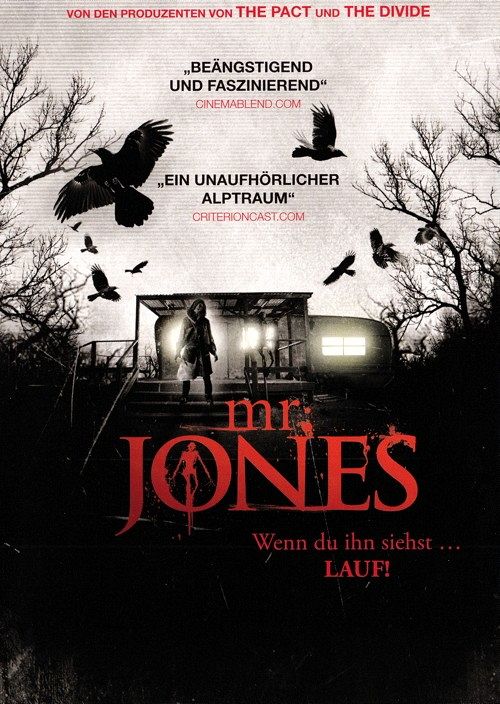 Mr. Jones [DVD]