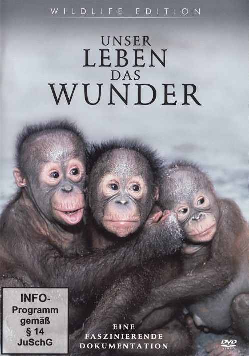 Unser Leben - Das Wunder [DVD]