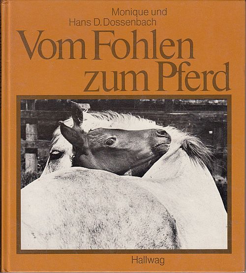 Vom Fohlen zum Pferd