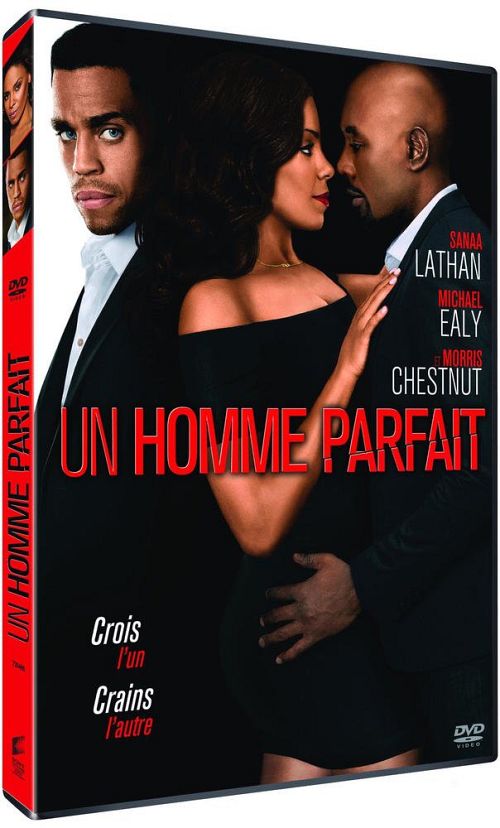 Un homme parfait [DVD]