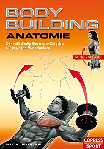 Bodybuilding - Anatomie