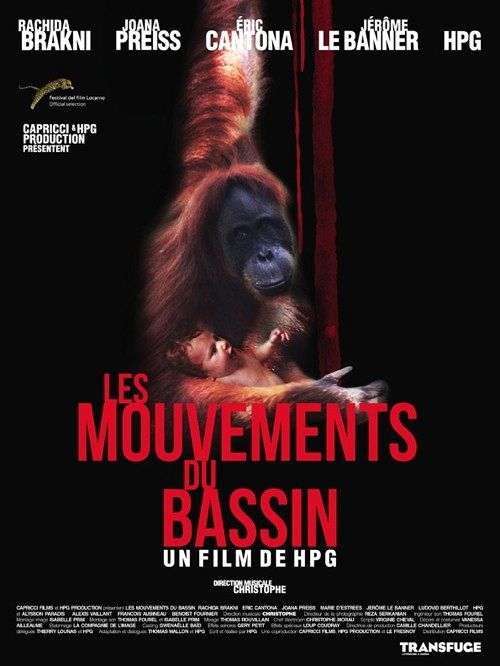 Les mouvements du bassin [DVD]
