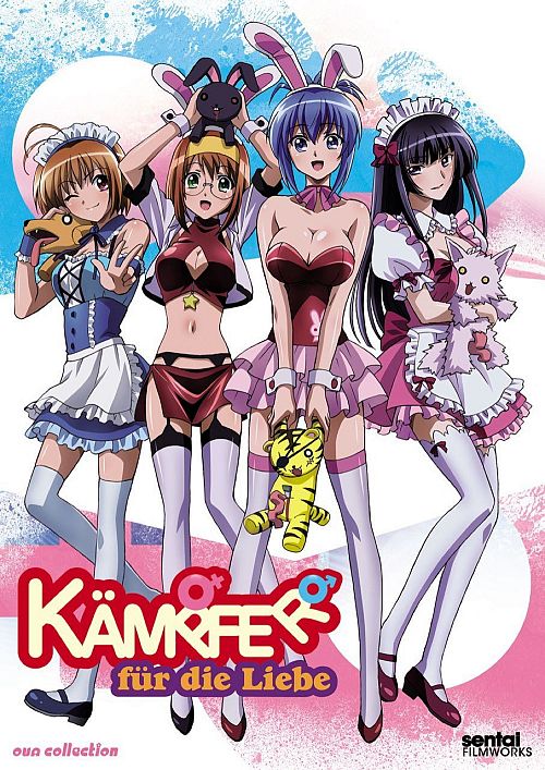 Kämpfer für die Liebe [DVD]