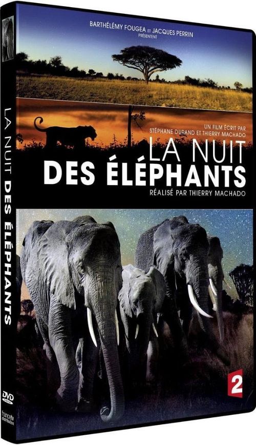 La nuit des éléphants [DVD]