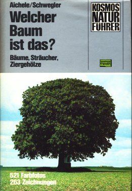 Welcher Baum ist das?