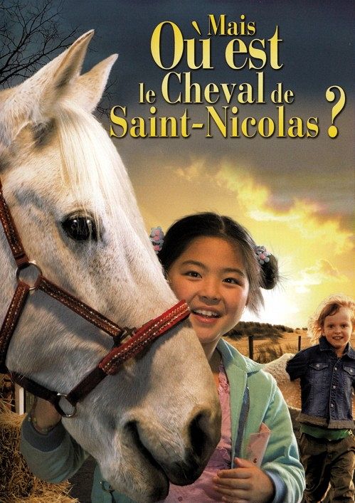 Mais où est le cheval de Saint-Nicolas ? [DVD]