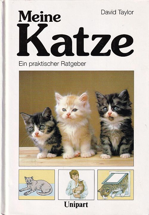 Meine Katze