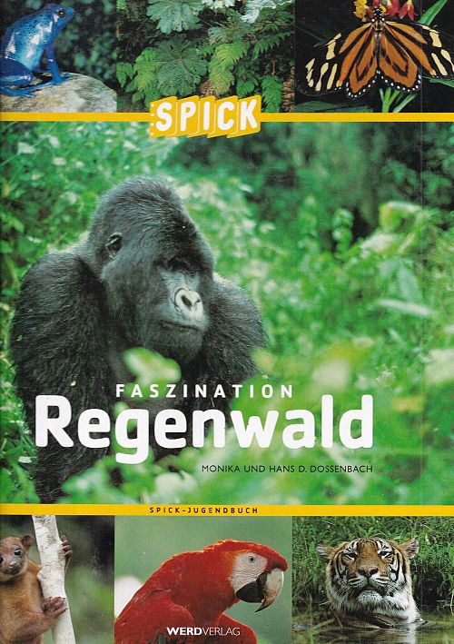 Faszination Regenwald