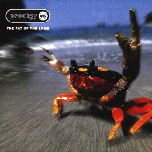 The Fat Of The Land [CD]