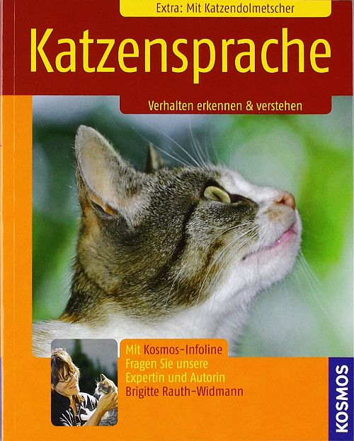 Katzensprache - Verhalten erkennen & verstehen