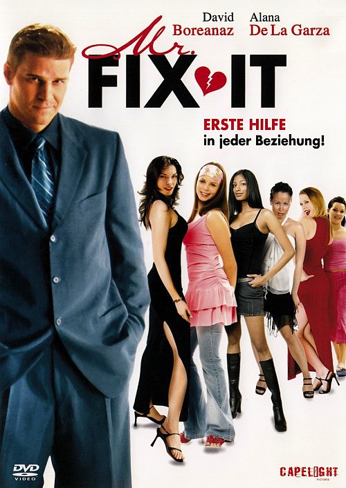 Mr. Fix It [DVD]