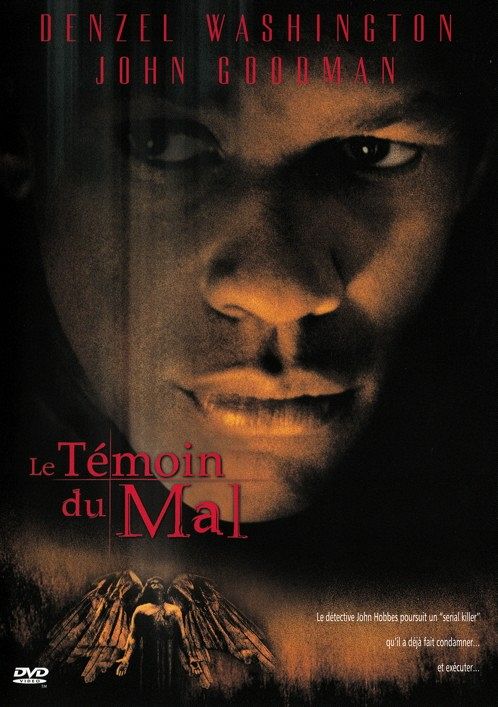 Le Témoin du mal [DVD]