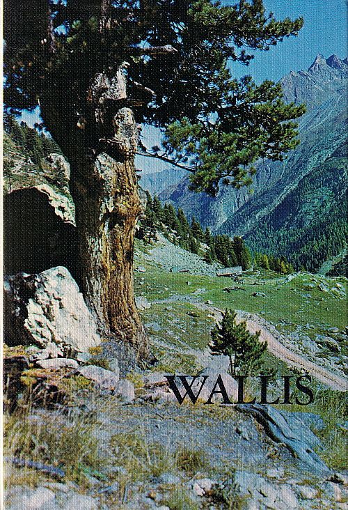 Die Kantone der Schweiz - 1 Wallis