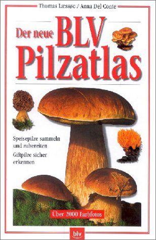 Speisepilze sammeln und zubereiten – Giftpilze sicher erkennen