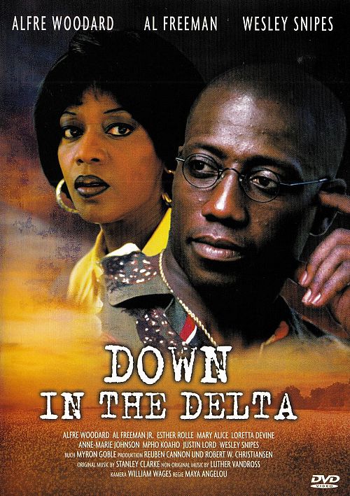 Down in the Delta [DVD]