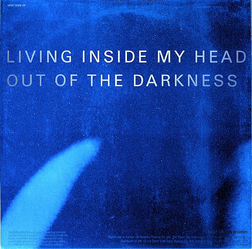 The Living Kind [Vinyl]