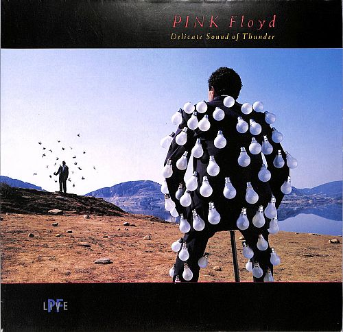 Delicate sound of thunder [Vinyl]