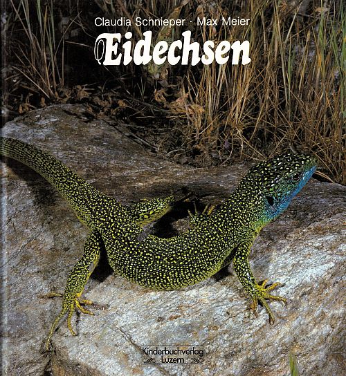 Eidechsen