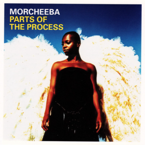 Parts of the Process [CD]