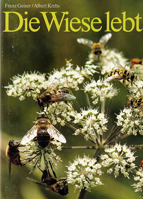 Die Wiese lebt