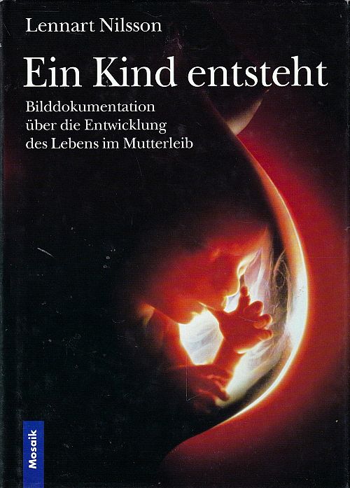 Ein Kind entsteht