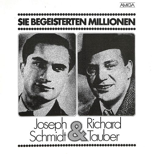 Sie begeisterten Millionen [Vinyl]