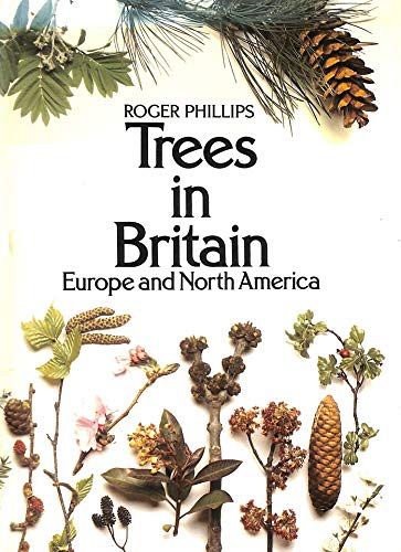 Trees in Britain, Europe and North America